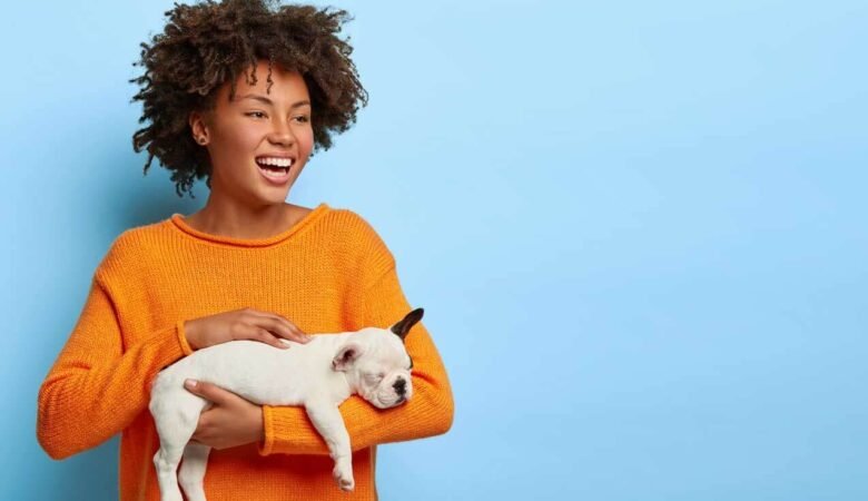 Evcil Hayvan Bakımı